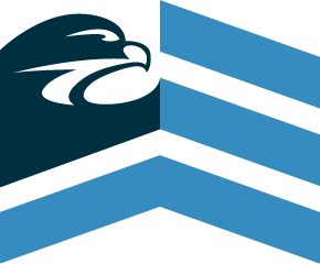 Strive Emergency Garage Door Repair